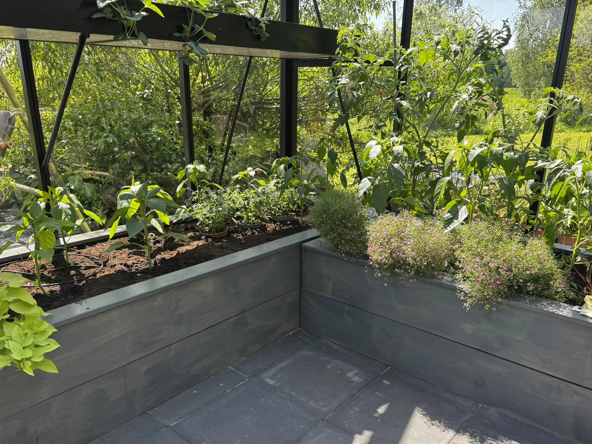 Greenhouse and Garden Raised Beds (Wood).